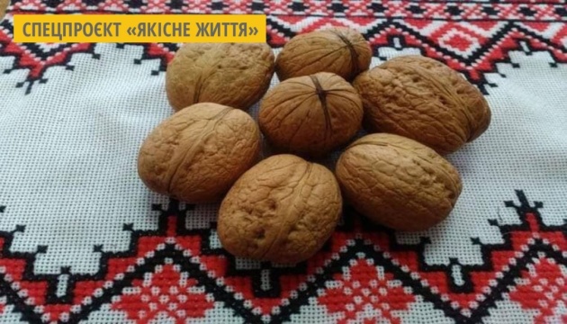 Гетьман, Легінь, Красень і Скарб: науковці Буковини вивели нові сорти волоського горіха