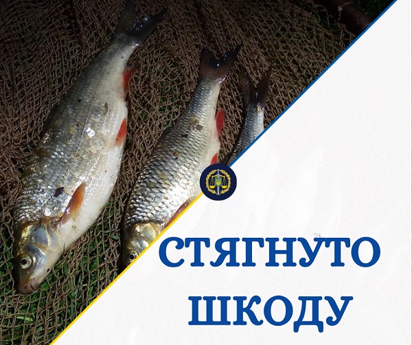 На Буковині браконьєра оштрафували на 52 тис грн 