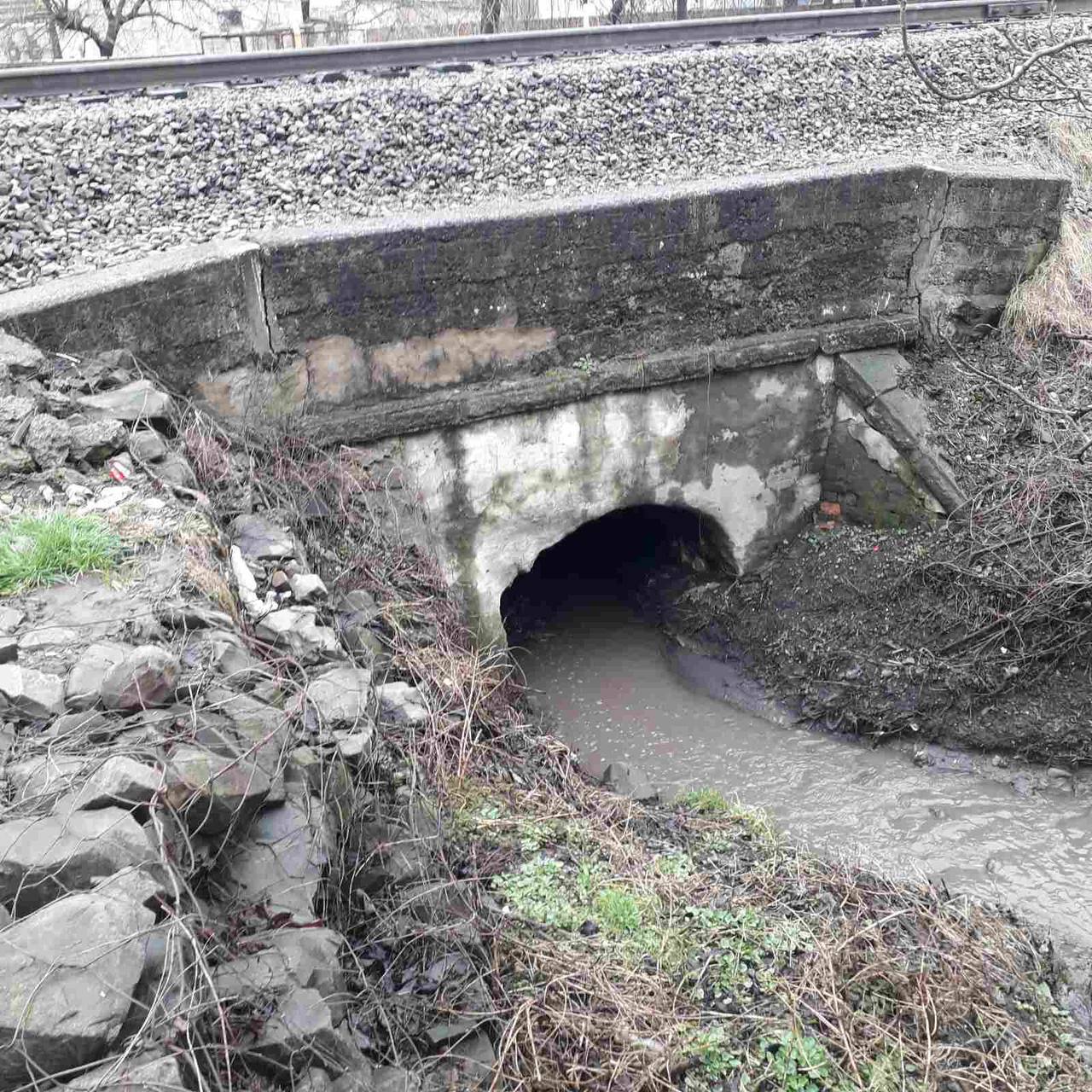 Захаращень русел річок гіллям дерев чи сміттям у Чернівцях не виявили