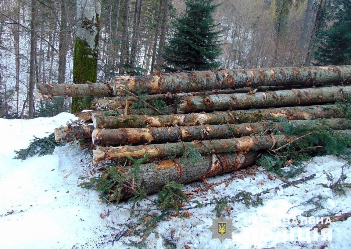 На Буковині порушили 120 кримінальних проваджень у сфері лісокористування і 54 за незаконний видобуток гравійно-піщаної суміші 