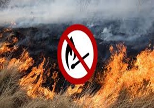 Екологи попереджають про можливі пожежі у буковинських Карпатах 