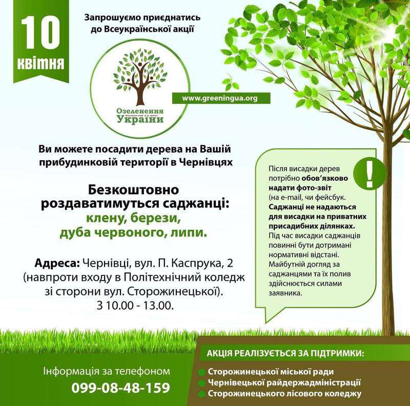 Весна прийшла - саджати будемо: містянам безкоштовно роздаватимуть саджанці для озеленення Чернівців