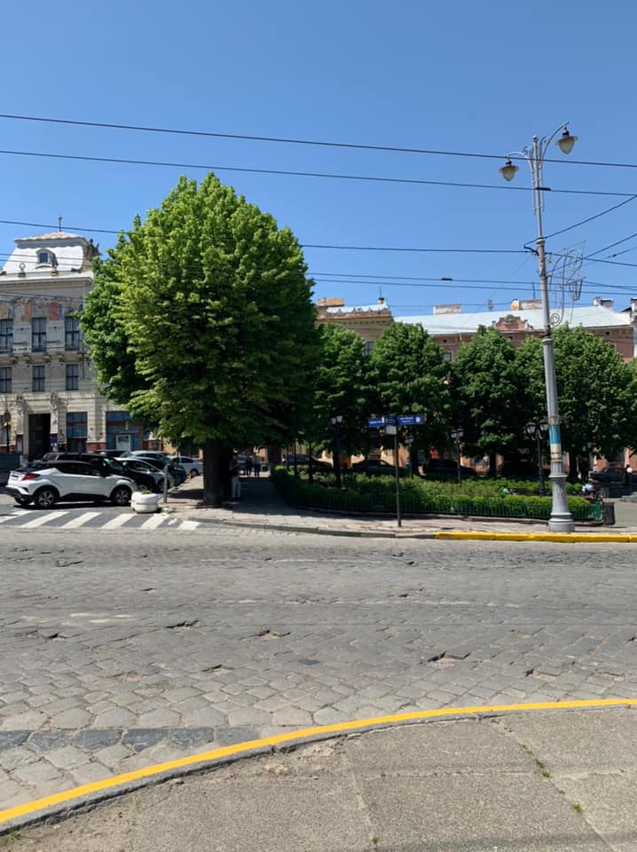 'Слуга народу' Лис проти відкриття ботанічного саду у Чернівцях для загального користування