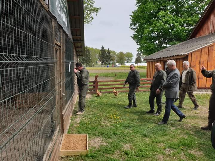Мисливських птахів з єдиного у Чернівецькій області фазанарію випускають у дику природу 