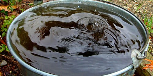 На випускному вечорі буковинець облив брудною водою з відра викладачку одного із навчальних закладів (ВІДЕО)