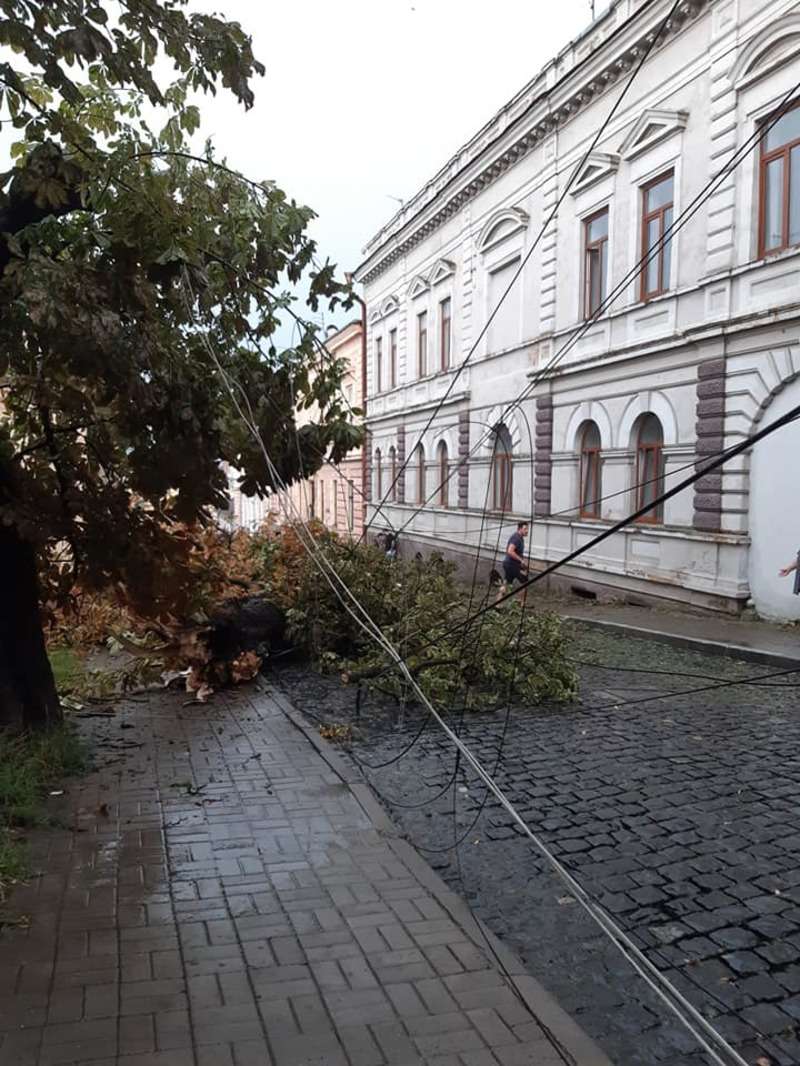 Негода в Чернівцях повалила 54 дерева, пошкодила 6 авто, на Буковині 25 населених пунктів знеструмлено 