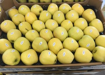 Яблука з Буковини експортують у Євросоюз, Прибалтику, Білорусь, Сирію