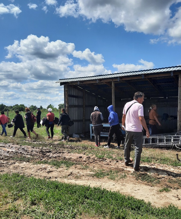 На Сокирянщині 34 працівники фірми збирали абрикоси без оформлення трудових відносин 