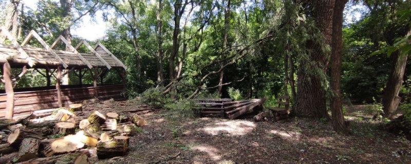У парку Жовтневому у Чернівцях незаконно зрубали дерева