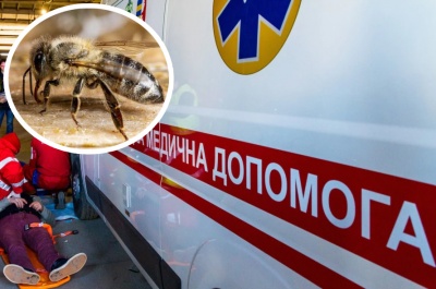 Буковинця до смерті зажалили бджоли 