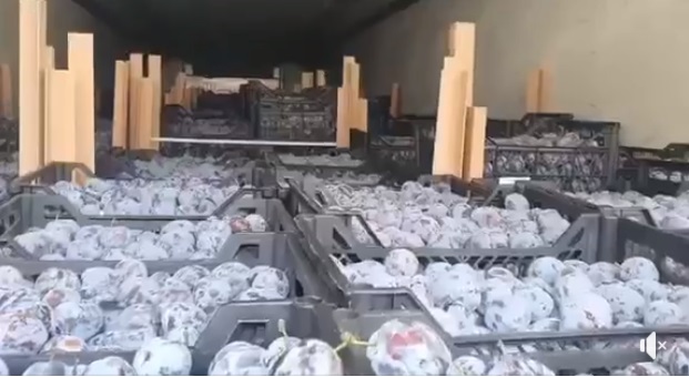 Чернівецькі митники вилучили 20000 кг слив