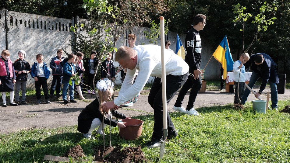 На Буковині в пам’ять про загиблих на Сході висадили калинові алеї
