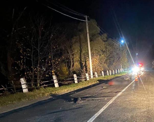 Водію 27 років, який у Берегометі збив на смерть 57-річного пішохода і втік з місця аварії, повідомлено про підозру