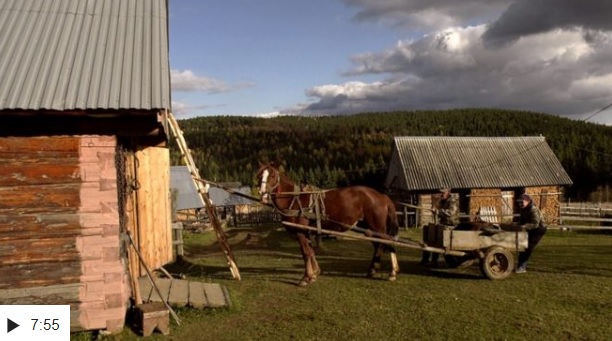 Присілок Буковинка на Закарпатті вважають найвисокогірнішим населеним пунктом в Україні