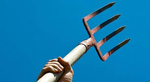 Жителі Чорнівки скликають загальні збори для самостійного обрання старости села, бо міська рада більше року ігнорує проблеми громади  