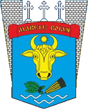 У Боянській громаді розпочався виборчий процес: виборці без реєстрації за місцем проживання ще встигають змінити адресу  до 10 лютого, - рішення ЦВК 