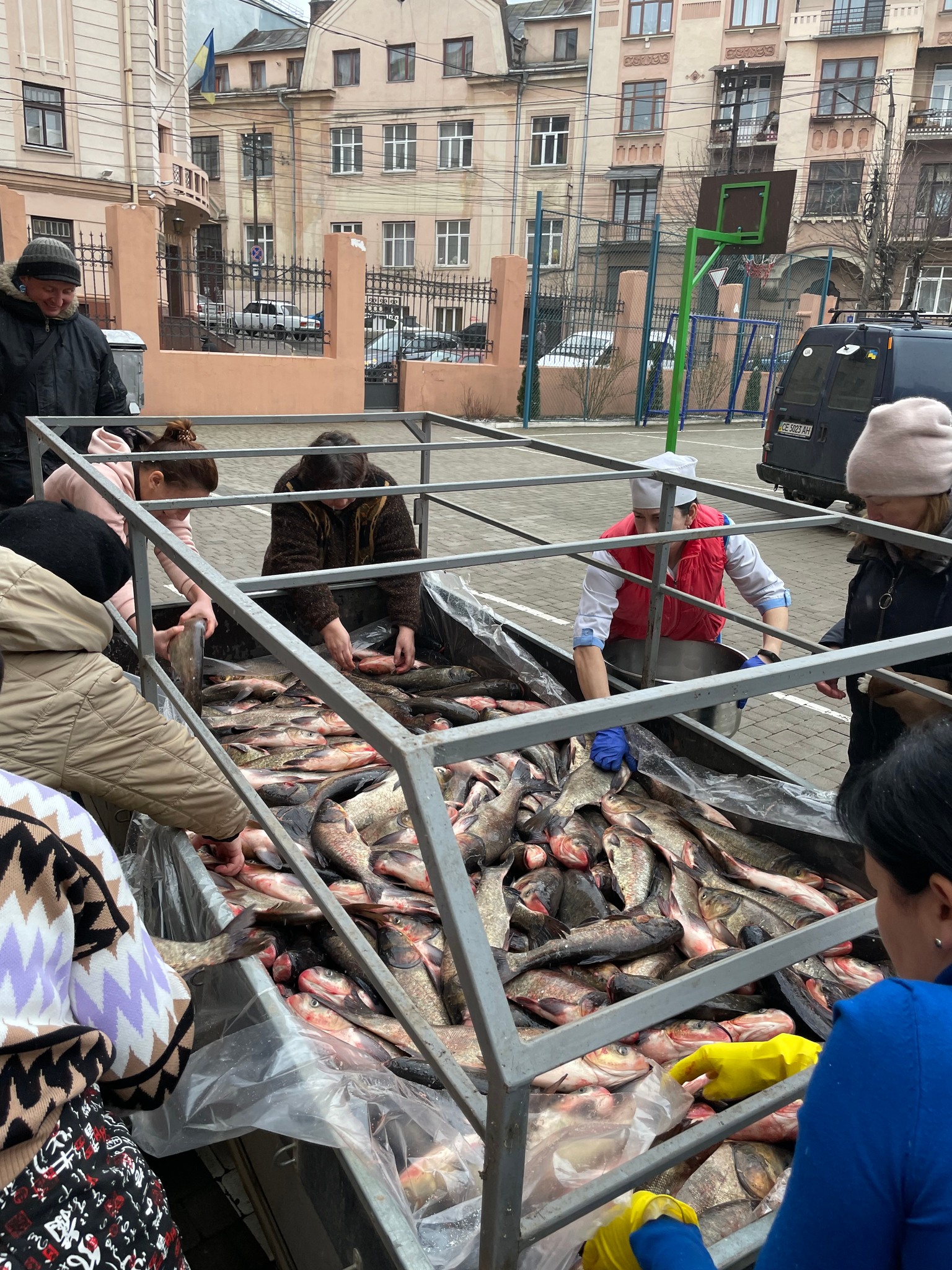 У буковинських ставках виловили тонну толстолобіка, з якого у двох чернівецьких школах наготували сотні консерв трьох видів для армії 