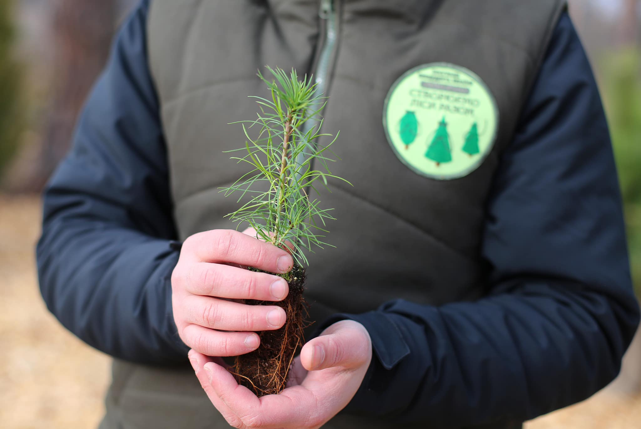 У перерві між виготовленням 'бандерівського смузі' лісівники Буковини готують весняну висадку лісу щойно середньодобова температура повітря складатиме +5