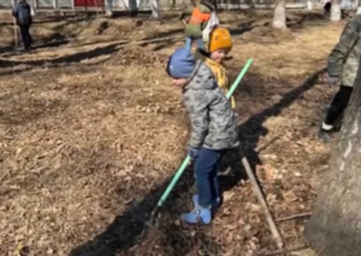 Вимушені переселенці активно долучилися до прибирання селищного парку у Глибоці 