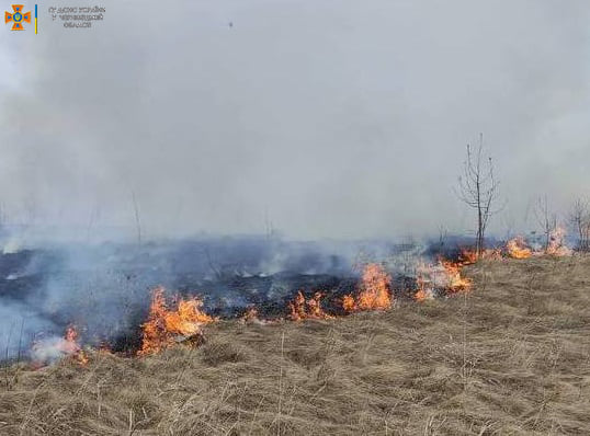 У Чернівецькій області масові пожежі сухої трави: є людські жертви 