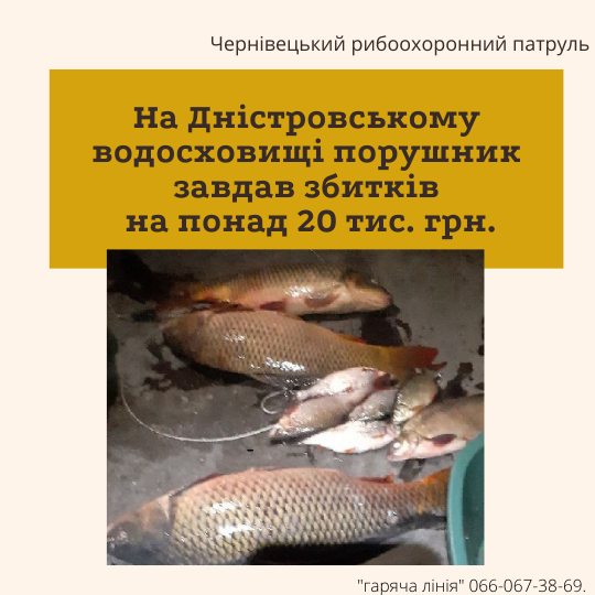 У Чернівецькій області вилучений у браконьєра на моторці улов риби передали на потреби Збройних сил України