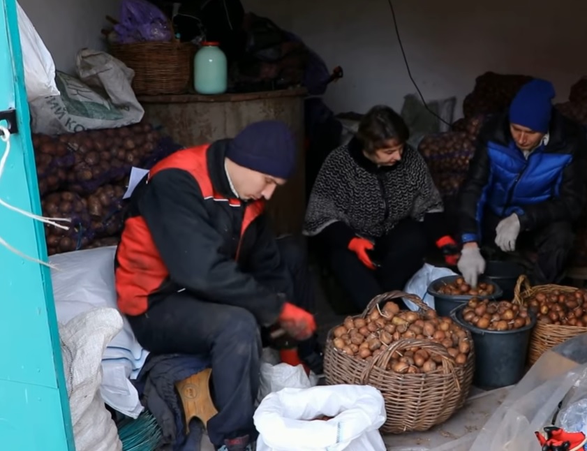 Буковинські газди Сергіївської громади створили YouTube канал, де розповідають про свій досвід ведення особистого селянського господарства