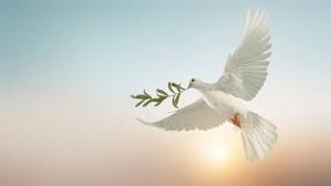 До Чернівців завітають повноважні представники Вселенського Патріарха Варфоломея та Папи Римського Франциска, Архієпископ Кентрберійський, знані імами та рабини, щоб засвідчити підтримку миру в Україні