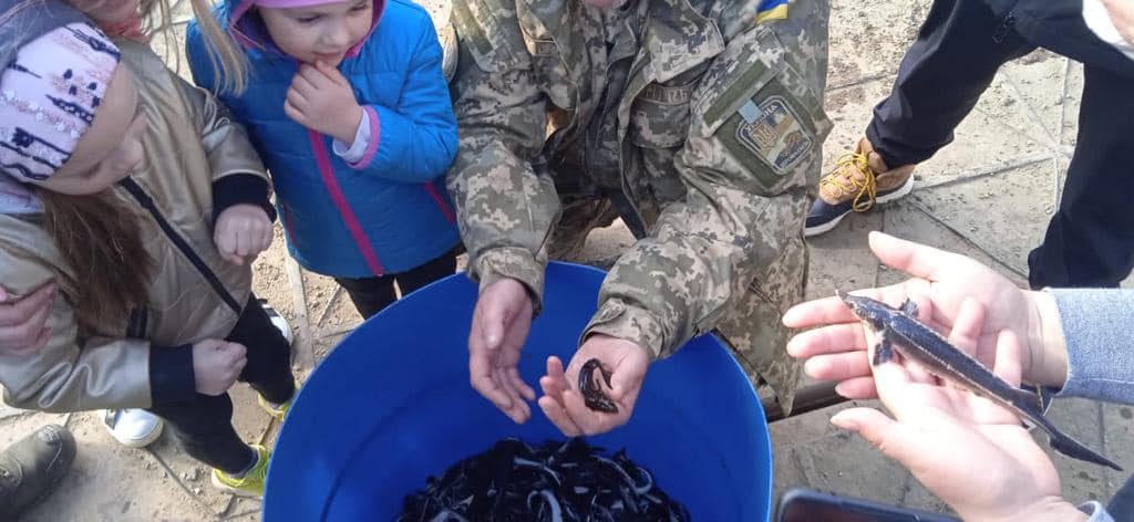   Готуйте Дністер для тунця (думка)