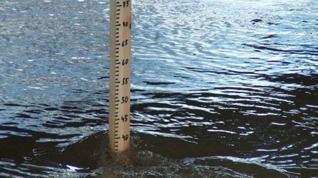 На Буковині через незаконний скид води з водного об’єкту погинуло багато риби  