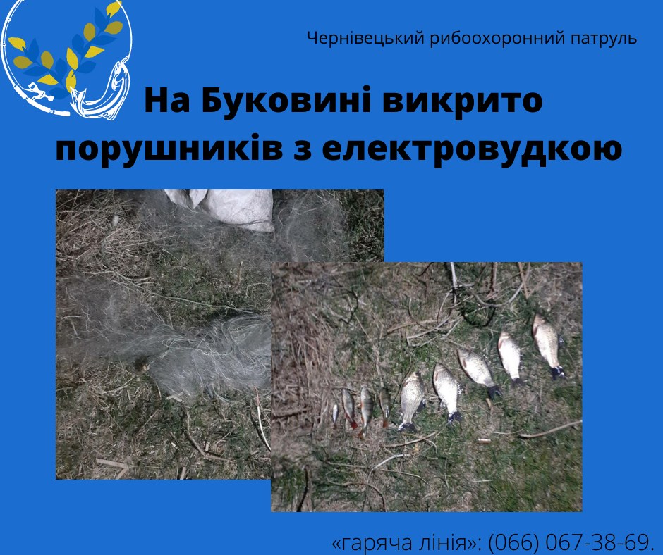 У Бабині двоє браконьєрів на гумовому човні незавонно ловили рибу електровудкою  