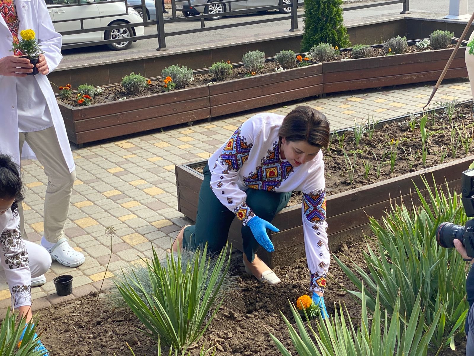 Народна депутатка України Олена Лис ініціювала висадку чорнобривців біля обласного перинатального центру