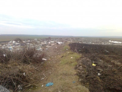 У Мамаївцях під Чернівців виявили велике сміттєзвалище: нарахували збитків майже на 200 тисяч