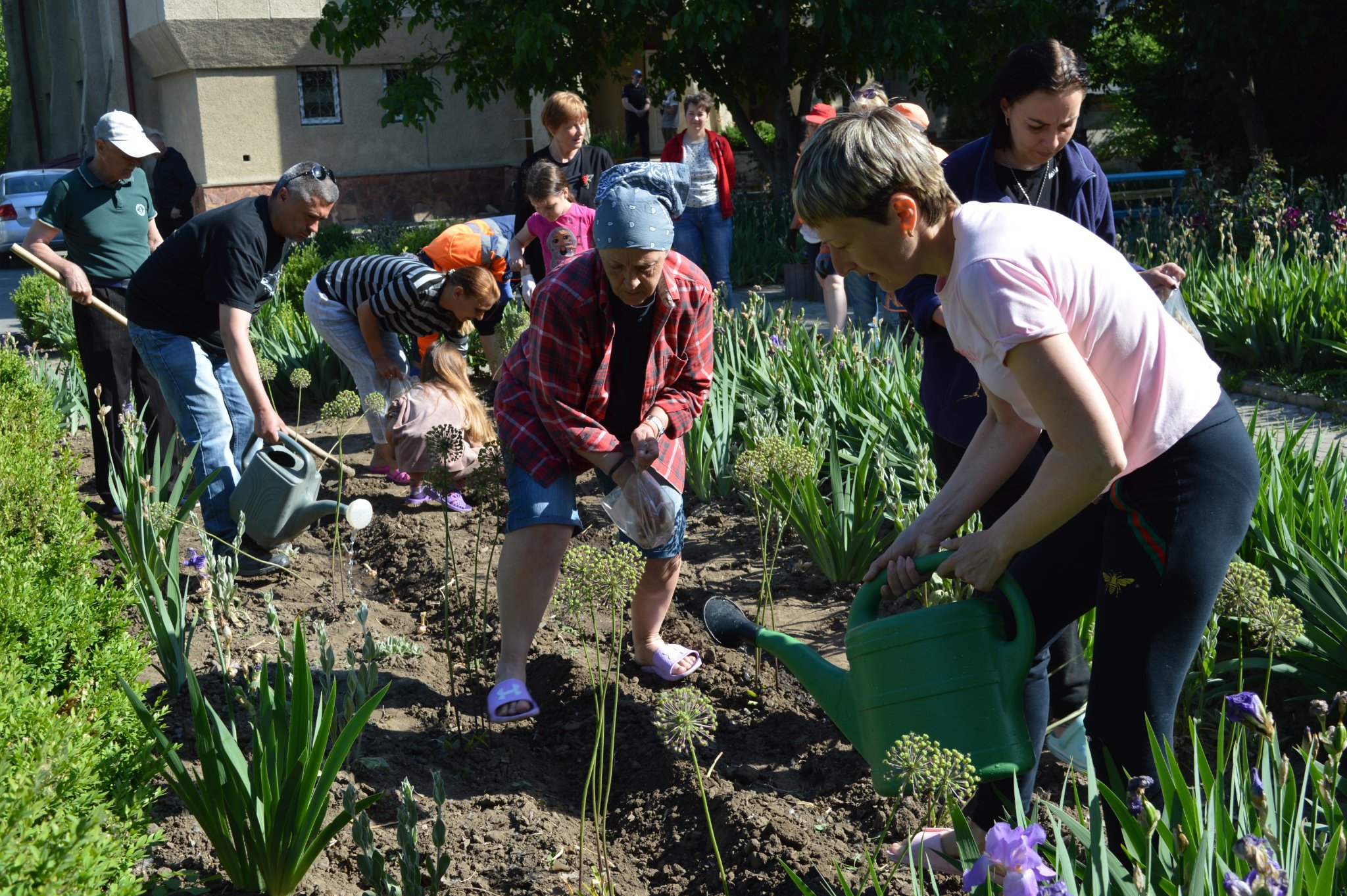 У Новоселиці поряд з установами прокуратури та суду висадили лілії Перемоги