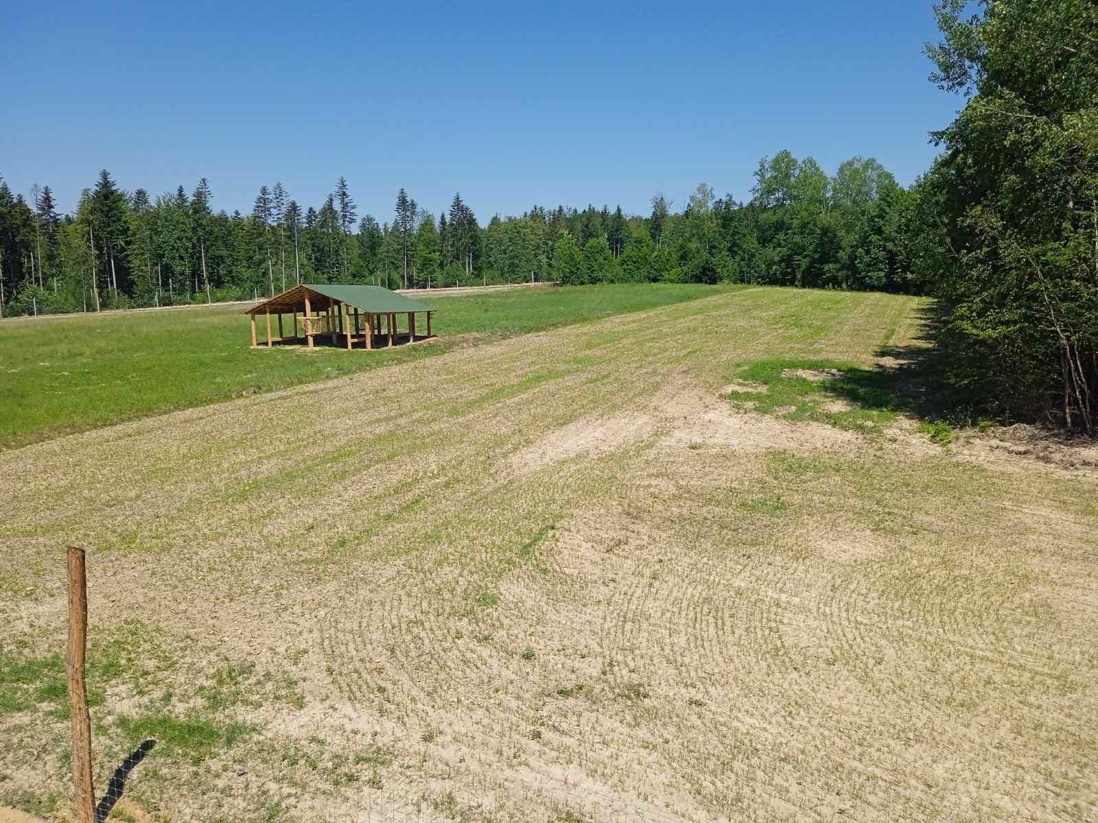 У Славецькому лісництві офіційно відкрили вольєр для напіввільного утримання поголів'я оленя благородного, а в в 14-му кварталі Зруб-Комарівського лісництва новий рекреаційний пункт