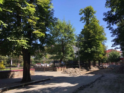 У центрі Чернівців зріжуть багаторічні каштани