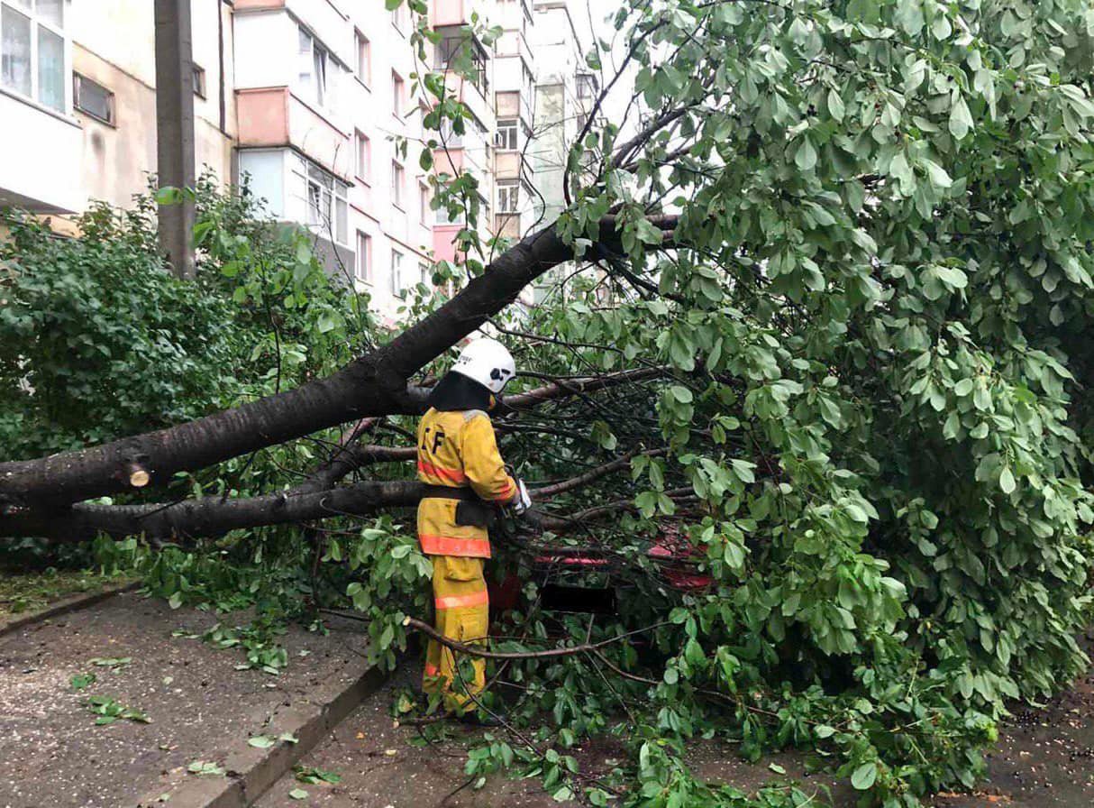 На вулицях Руській, Комарова, Крижанівського у Чернівцях, у с. Реваківці та м. Заставна рятували автомобілі з-під завалів дерев і розчищали дороги  