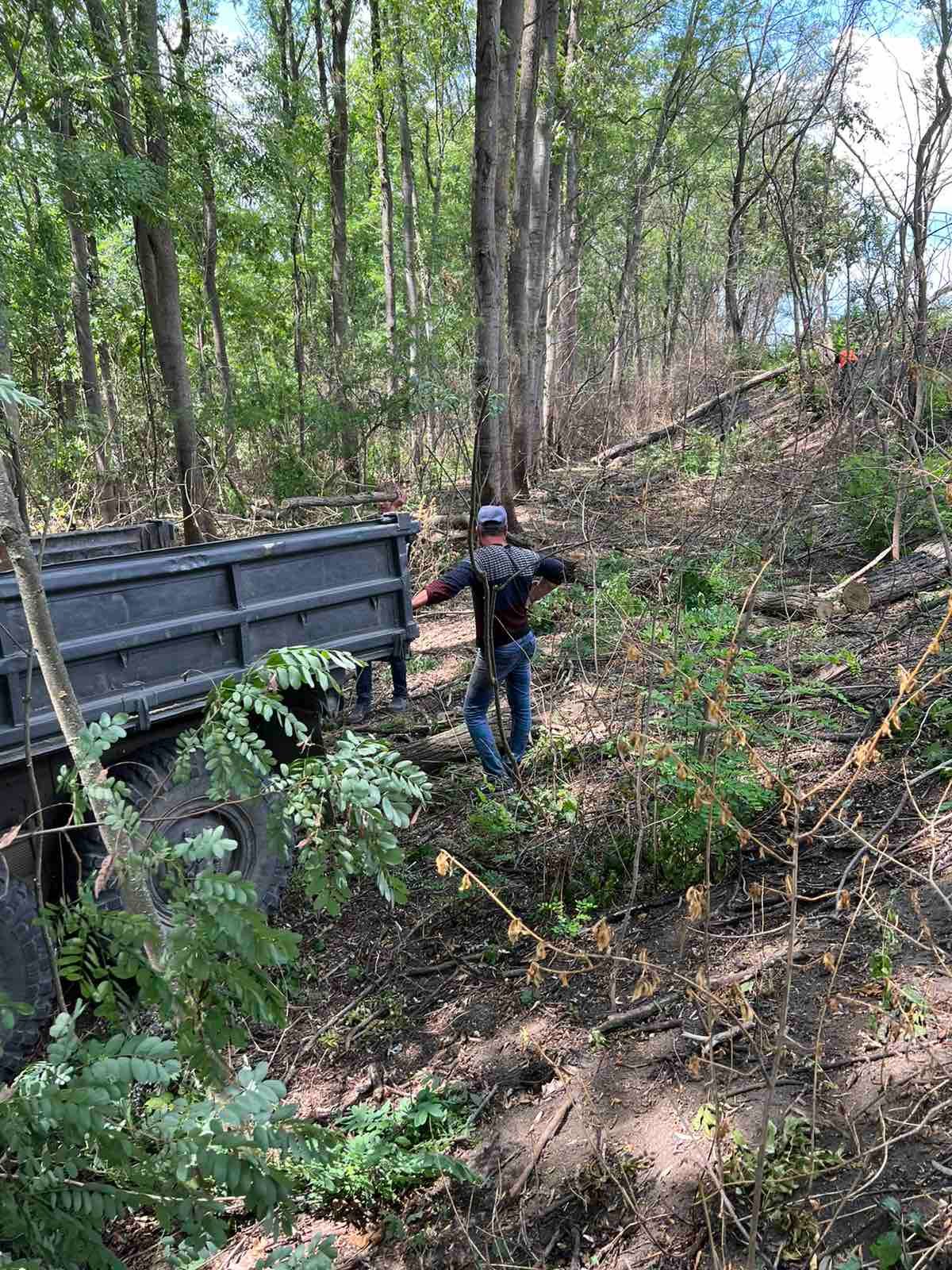Залишають по собі сміття, оголені ділянки та не відновлюють ліс: між мешканцями Динівців та Котелевого і лісниками виник конфлікт через тотальне вирубування дерев біля цих сіл  