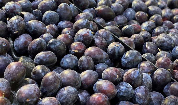 Чернівецький фермер продав фрукти в Києві удвічі дорожче, ніж місцевим оптовикам