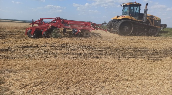 На Буковині вже засіяно половину площ ріпаку озимого