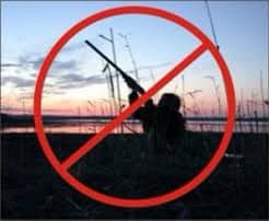 'Набої краще приберегти для російських загарбників': на Буковині заборонили сезон полювання