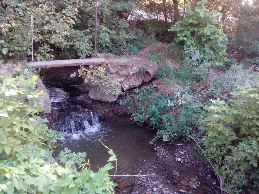 Причину отруєння річки Шубранець має офіційно оголосити Державна екологічна інспекція Карпатського регіону, яку очолює чернівчанин Вадим Колегай після позапланової перевірки, ініційованої Романом Клічуком, - джерело