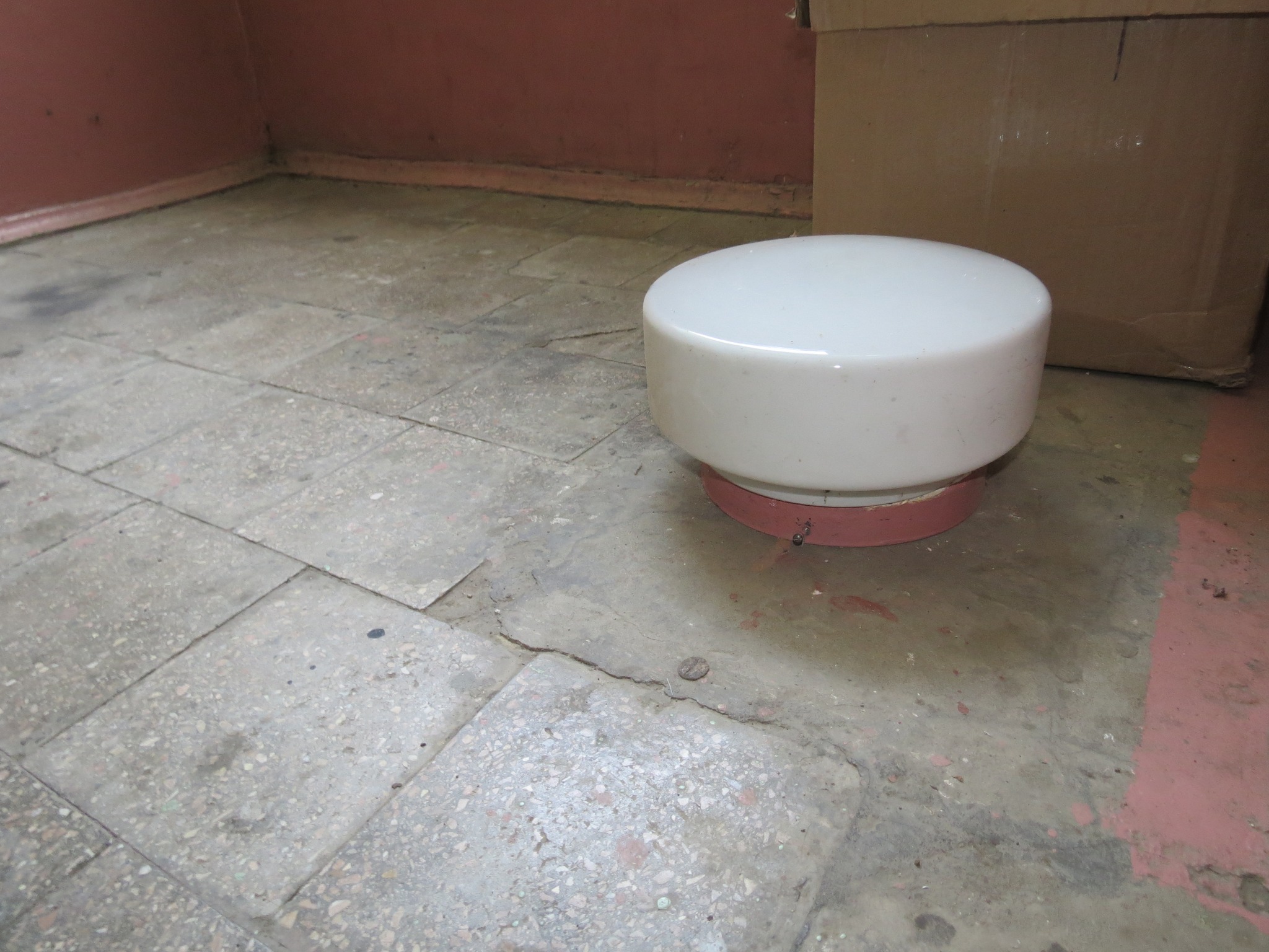 'На поверсі у колишної першої особи Чернівців зробили все акуратно, а на решті - вже як вийшло': КП «Містосервіс» замінив вінтажні світильники  на маленькі і непоказні 