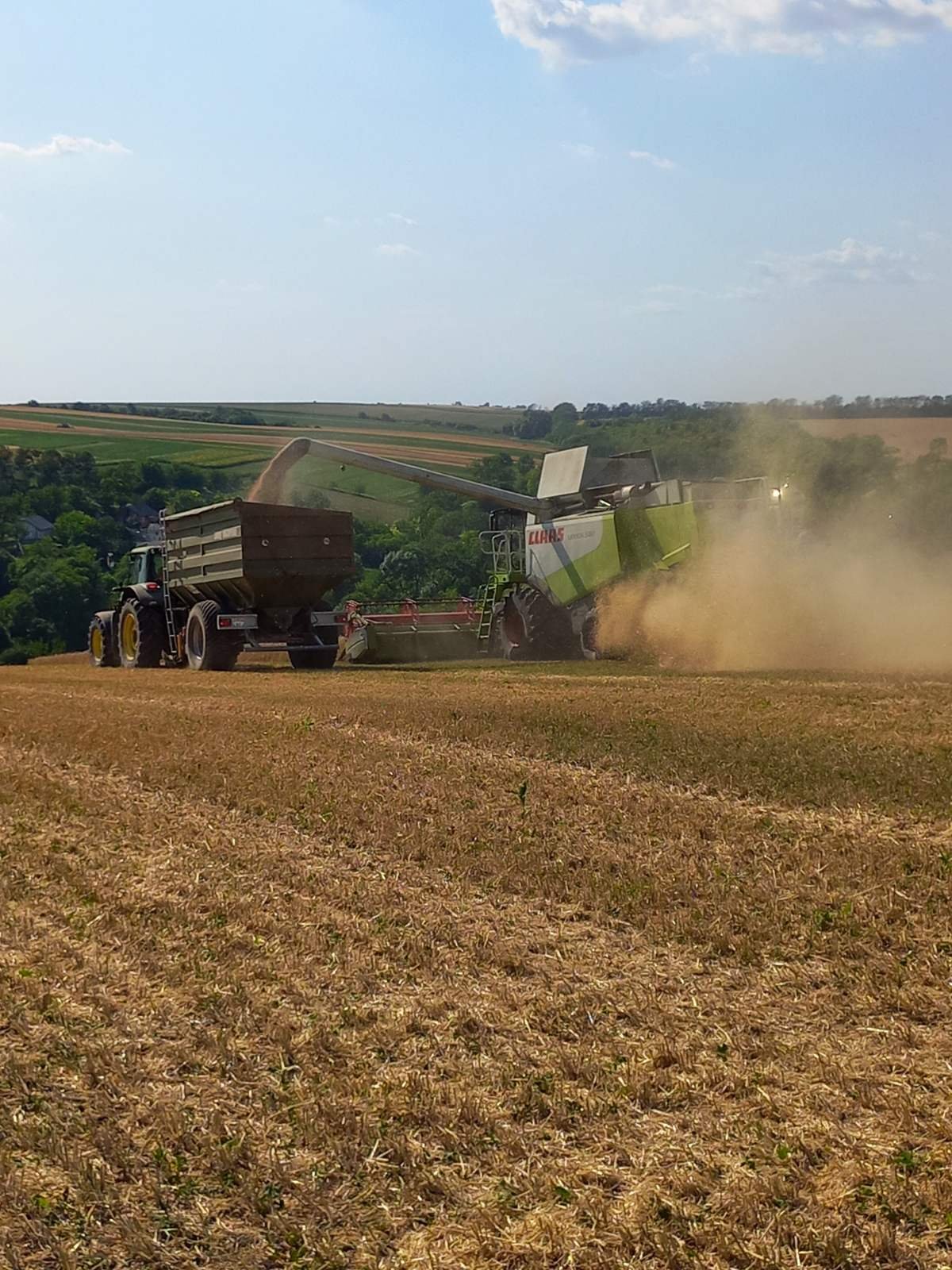 На Буковині зібрали менший, ніж торік врожай ранніх сільськогосподарських культур