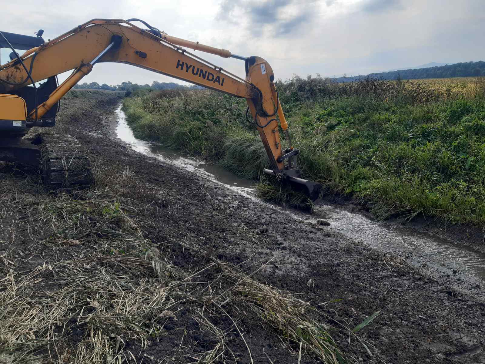 Загрожував затопити прилеглі поля: на Буковині терміново розчищали від замулення водоприймач річки Єшків між селами Шипинці-Дубівці 