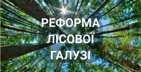 Іван Агатій: Створення єдиної лісової компанії – єдиний спосіб на сьогодні присікти свавілля лісової мафії на Буковині (думка) 
