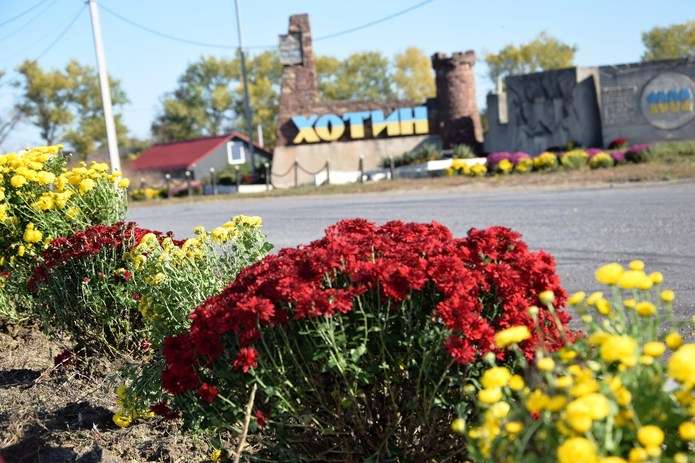 Хотин захризантемлять 