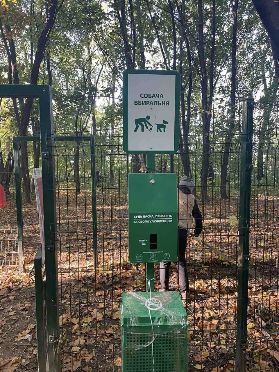 Тільки одна з десяти локацій для вигулу собак у Чернівцях відповідає європейським стандартам