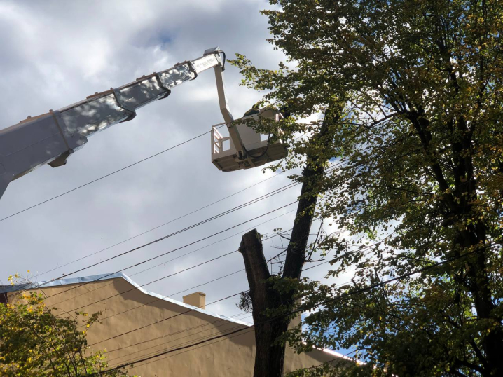 На вулиці Міцкевича у сквері навпроти Чернівецької ОВА ріжуть дерева