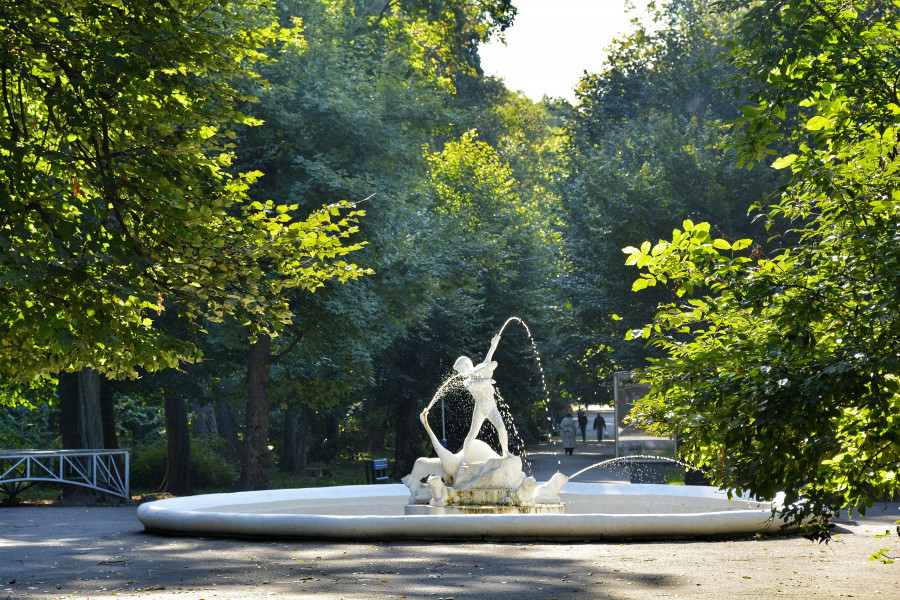 Догляд за деревами - першочергове завдання існування будь-якого парку - тільки на десятому місці, -  результат консультацій влади з громадою про реконструкцію парку Шевченка    
