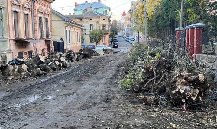 У Чернівцях біля педколеджу на Жуковського спилили цілу алею дерев 